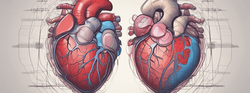 Atrial Fibrillation Preoperative Management