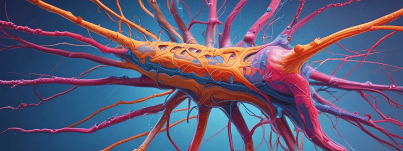 Neurophysiology II: Action Potentials and Synaptic Transmission