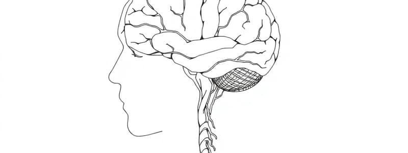 Drugs that affect the Nervous System