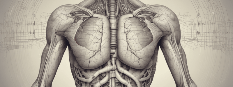 Gr 9 NATUURWETENSKAPPE: HFST 1.2 Die respiratoriese stelsel