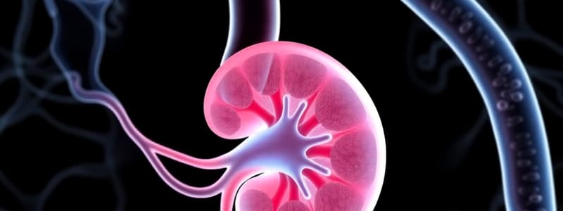 Quantitative Renal Studies Overview