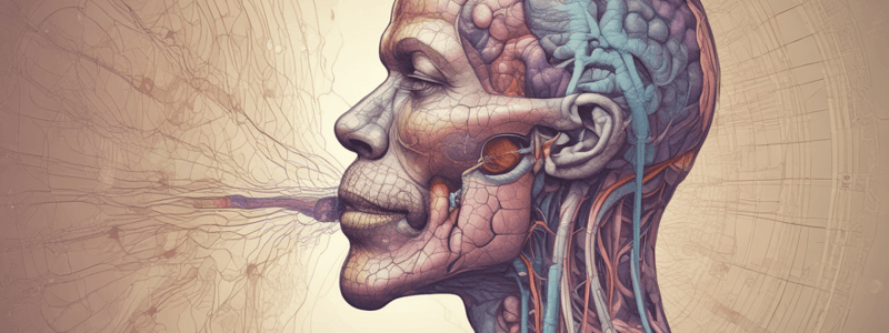 Respiratory Regulation in the Respiratory System