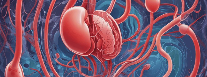 Excretory System Functions