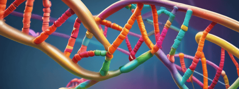 DNA Mismatch Repair Mechanism