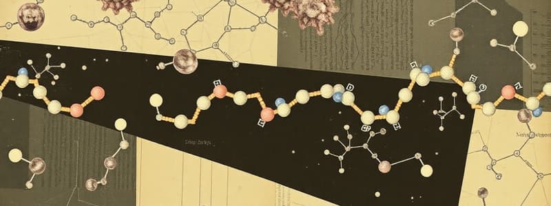 Acides Aminés et Protéines