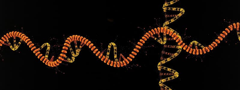 Biology DNA Profiling and tRNA Functions