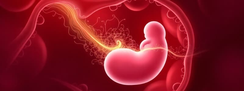 L15. Embryology - Placentation