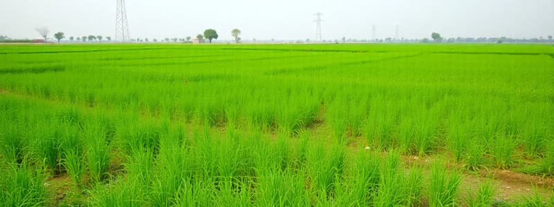 Indian Agricultural and Economic Schemes Quiz