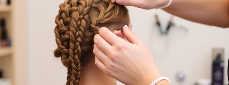 Plaiting Hair Techniques Quiz