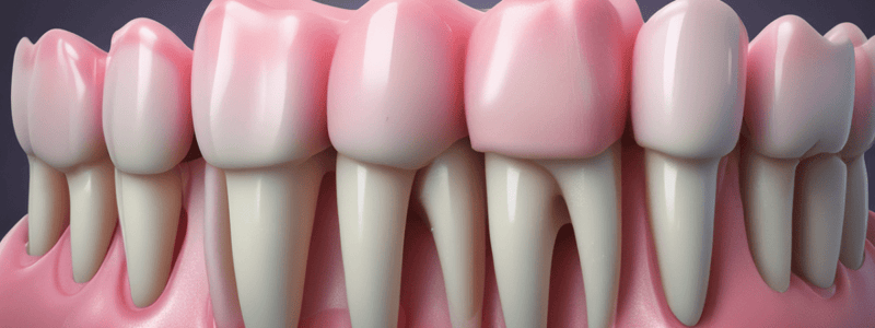 Periapical Periodontitis Overview