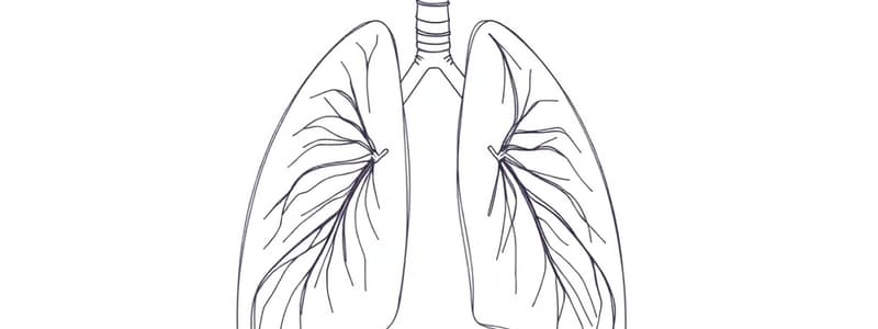 Fisiologia Respiratoria: Capienza Funzionale Residua (Fisiologia 41)