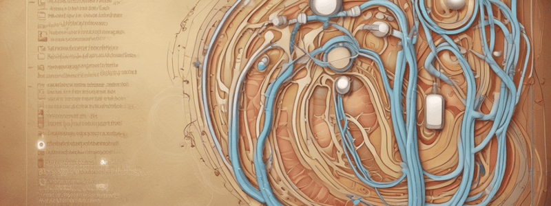 Urinary System Function and Disorders Quiz