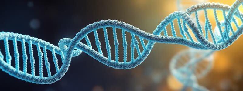 Biology Chapter: Nucleic Acids and RNA