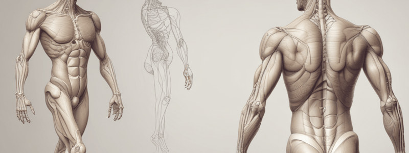 Joint Mobility Assessment: AROM and Physiological Movements