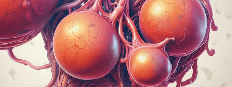 Urinary System Function Quiz