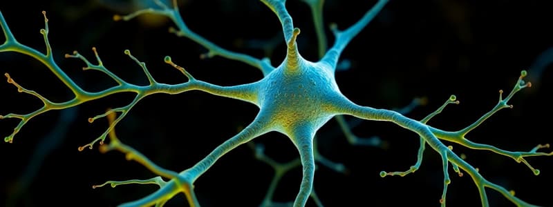 Introduction to Neurons and Neuroscience