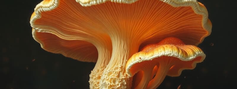 Fungi Characteristics