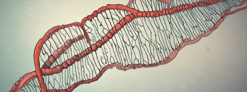 Biology: Genetics Basics Quiz