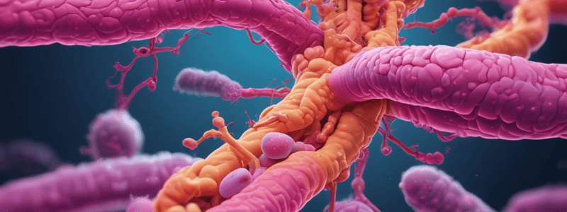 Bilirubin Metabolism in the GI Tract