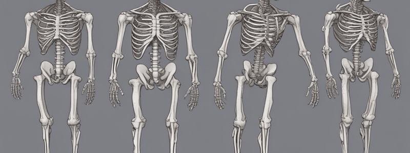 Anatomy and Dental Implants Quiz