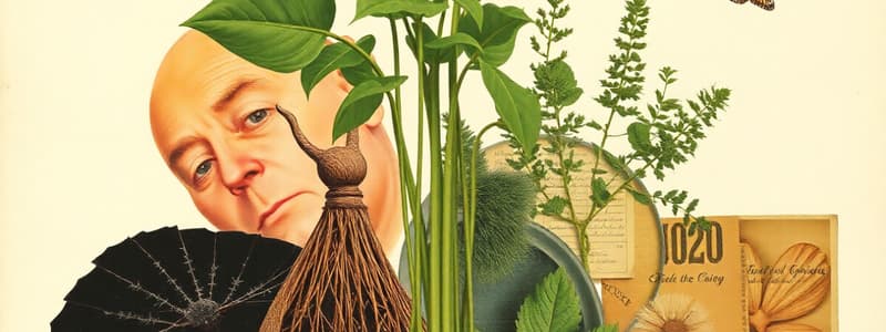 Moringa Oleífera: Benefícios e Uso