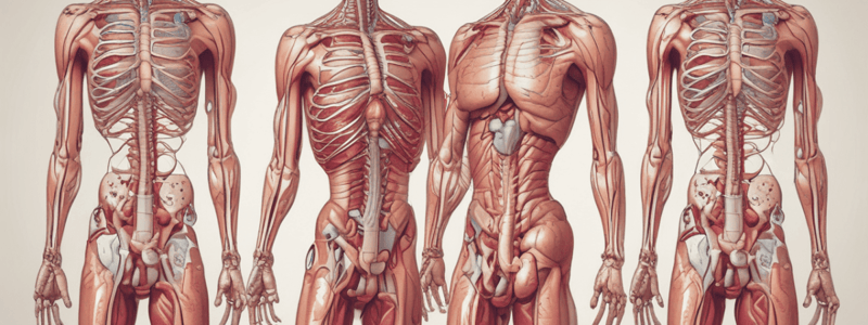 Gr 9 NATURAL SCIENCES: CH 1.2The circulatory system