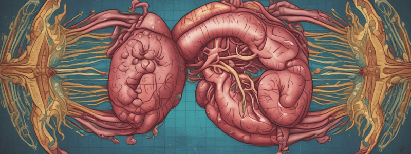 Acute Cholecystitis Pathogenesis