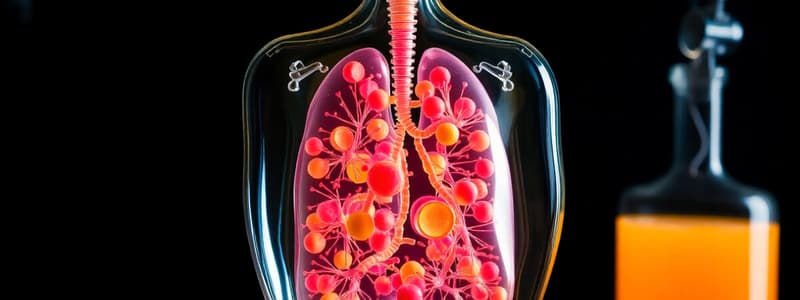 Anaerobic Respiration and Fermentation