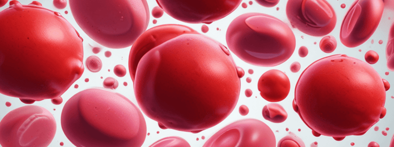 Anaemia: Types and Causes