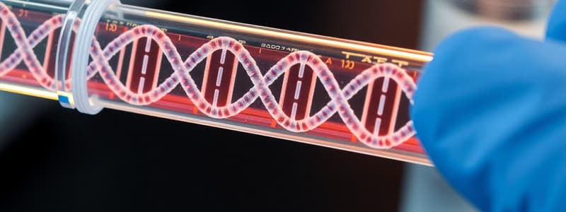 Polymerase Chain Reaction (PCR)