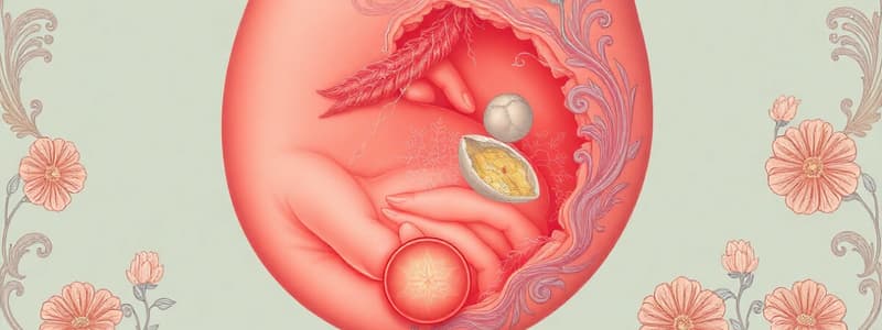 Placenta Formation and Types