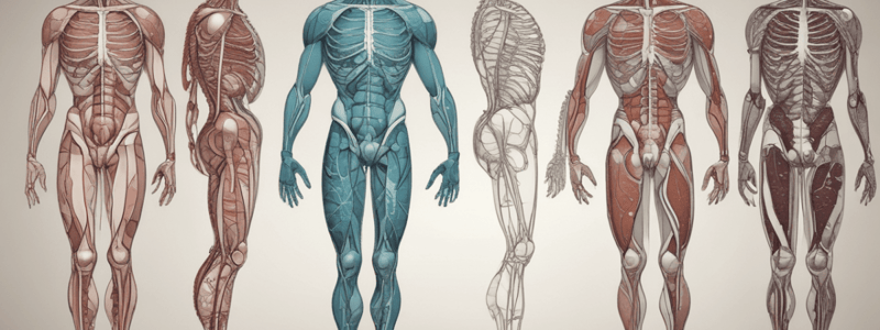 Body Systems