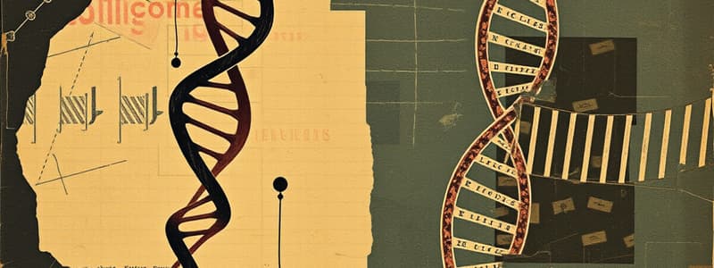 DNA Replication and Eukaryotic Structure