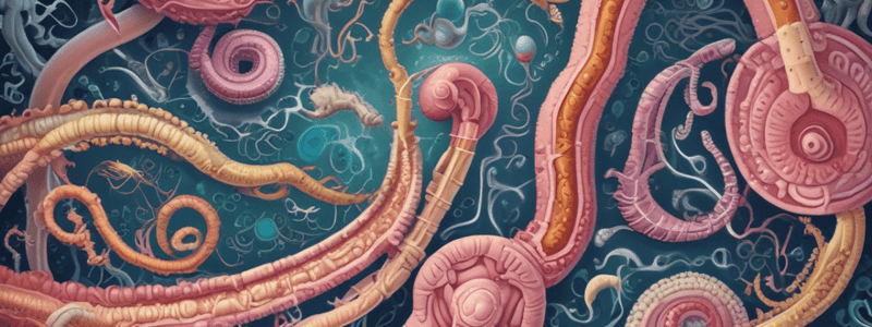 Cestodes: Tapeworms ʹ Cestode County Carnival