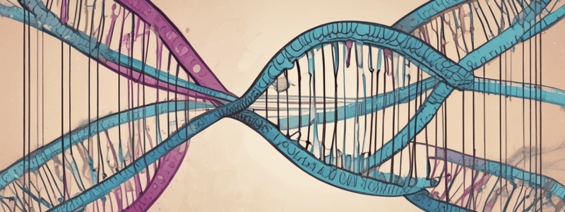 Genetic Mutations in Humans