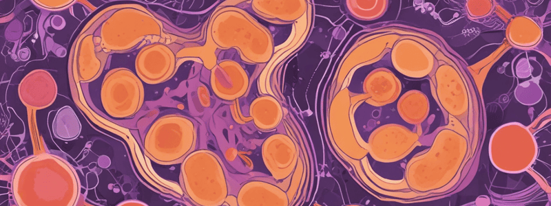 Actinomycin D in AML Therapy: Targeting NPM1c-Primed Mitochondria