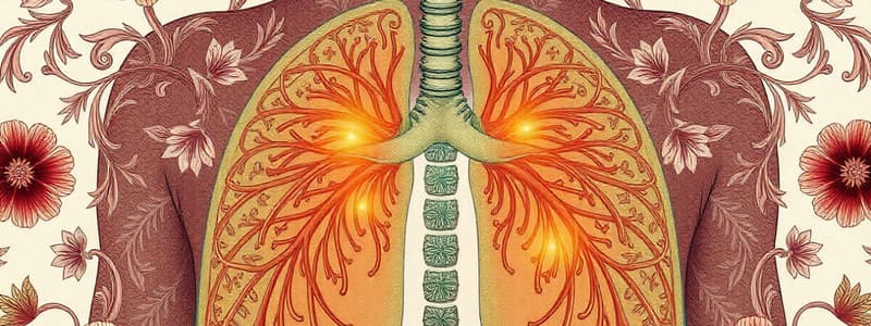 Human Respiratory System Quiz