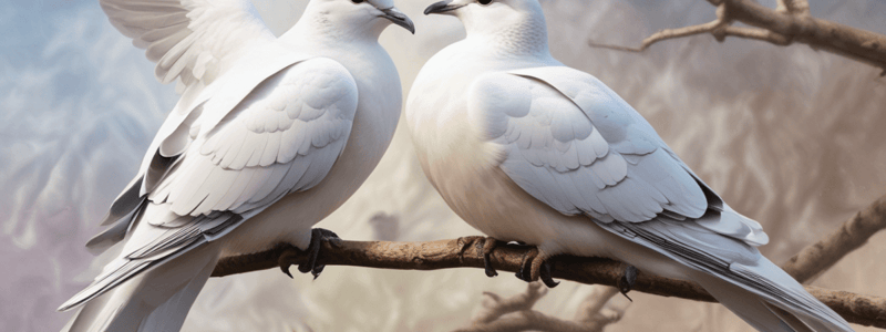 Doves: Symbolism, Habitat, and Life Cycle