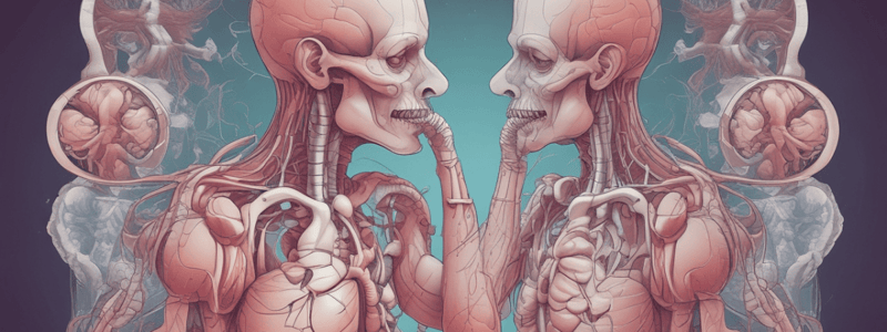 Respiratory System: Gas Exchange and Lung Function