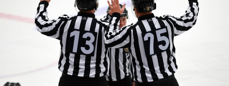 USA Hockey Officials Signals Flashcards