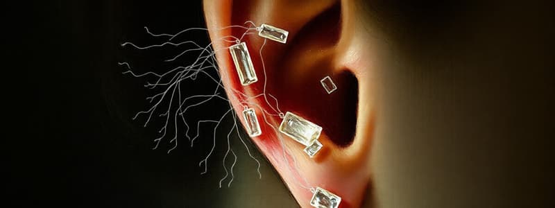 Auditory System and Function Quiz