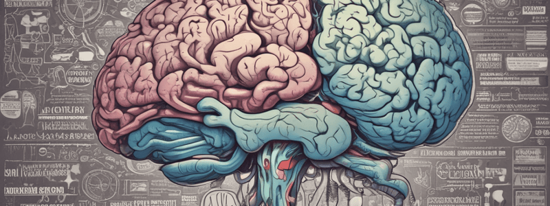 Diencephalon Structure and Functions