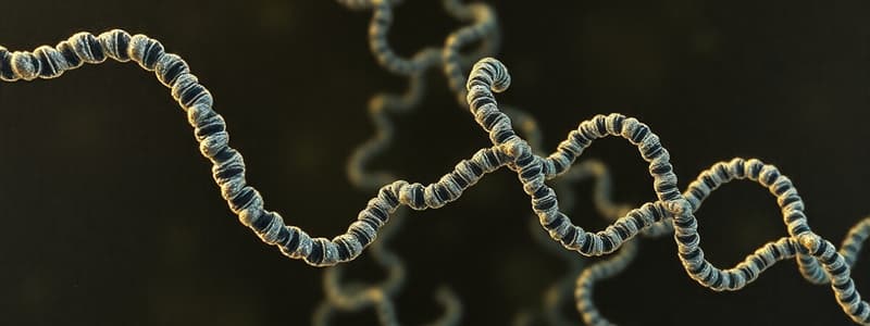 Nucleic Acids and Genomes Quiz