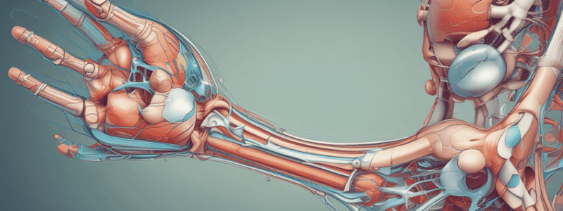 Dislocation: Joint Displacement