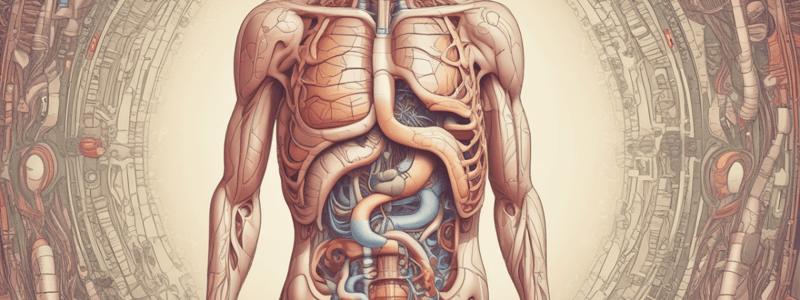 Digestive Tract: Introduction