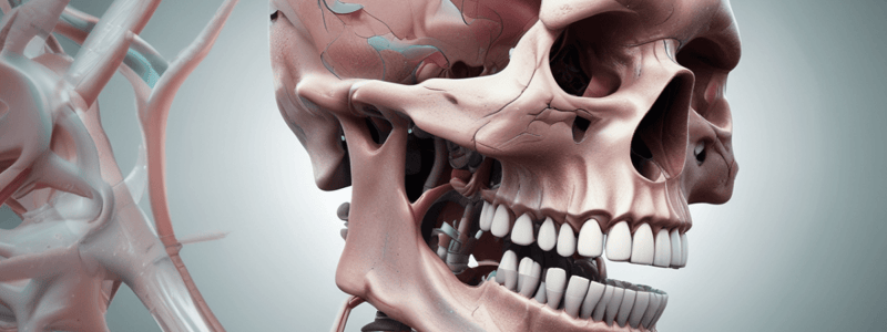 Dental Anatomy Lecture 3