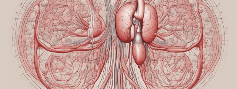 Circulation and Respiration