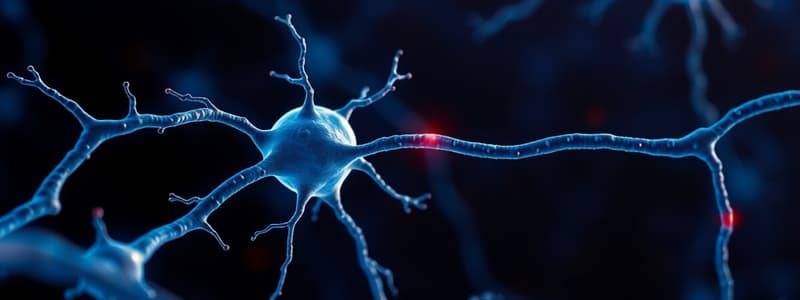 Neuroscience Chapter on Membrane Potential