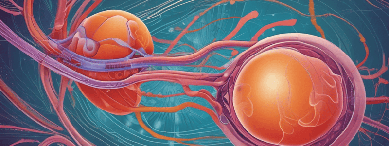 Renal Physiology Quiz