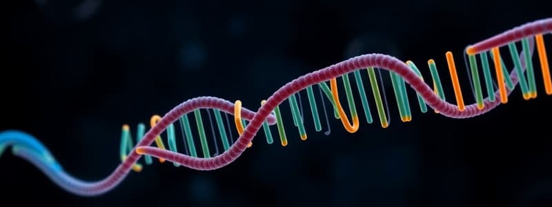 BLOCK 3: MBG: (3.6) RNA Processing & The Spliceosome